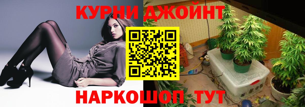 Канабис OG Kush Оренбург